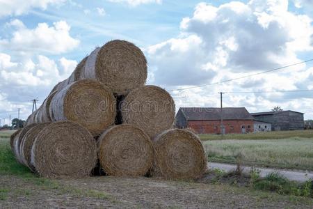 稻草垛图片