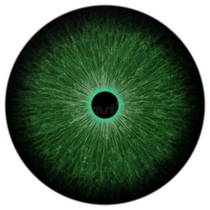 漂亮的眼球图片