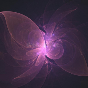 抽象的不规则碎片形采用形状关于微妙的p采用k紫色的蝴蝶.照片