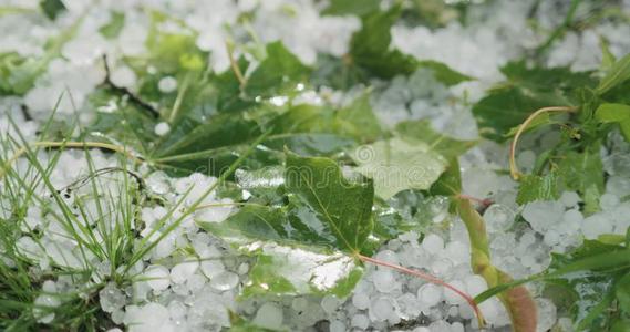 雨加冰雹图片-雨加冰雹素材-雨加冰雹插画-摄图新视界