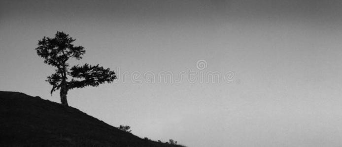 秋天背景美丽的相似素材图片-摄图新视界