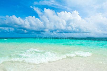 美丽的风景关于清楚的绿松石印度的洋,马尔代夫是(be的三单形式照片