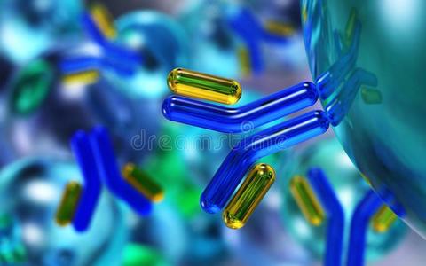 抗体,免疫球蛋白类照片