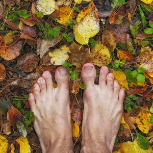 赤脚的男人看台向湿的有色的秋植物的叶子,正方形框架,照片