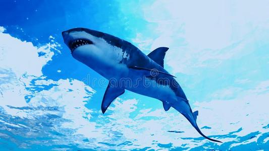 一伟大的白色的鲨鱼照片