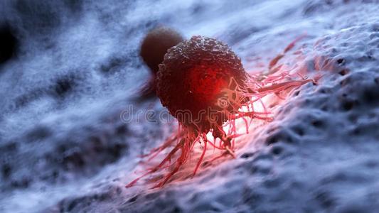 癌症细胞照片