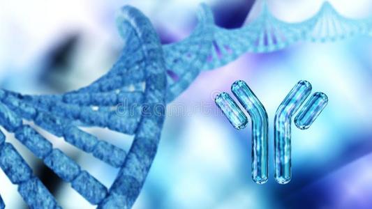 抗体,免疫球蛋白类照片