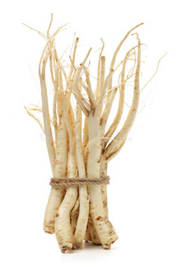 谷雨花药根关于朝鲜人吊钟花桔梗属大花药通常地大家知道的照片