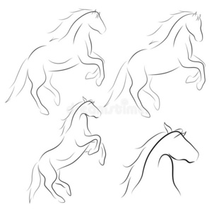 黑的线条马向白色的背景.矢量ic向放置照片