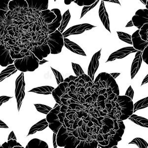 明亮的热带图案开花牡丹和鸟类在黑暗中.