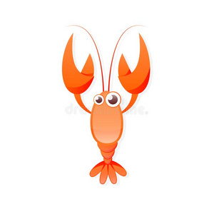 火影纲漫画图片