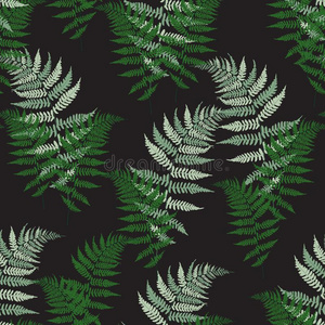 羊齿植物蕨类或棕榈类植物的叶子草本植物,热带的森林植物树叶无缝的