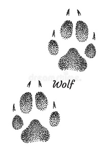 狼脚印说明,绘画,版画,墨水,线条艺术,照片