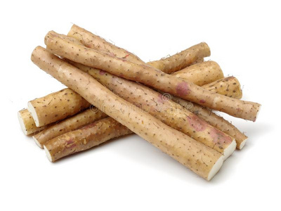 长柔毛薯蓣根图片