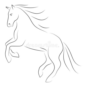 矢量黑的线条马向后面的木头支架向白色的背景.照片