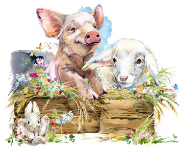 家禽猪羔羊.漂亮的猪.基肯.兔子.水彩农田动物收藏品照片