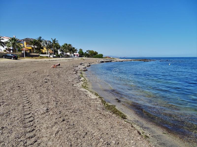 巴西查尔西亚图片-巴西查尔西亚素材-巴西查尔西亚插画-摄图新视界