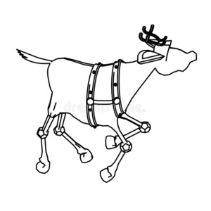 线条艺术设计关于鲁道夫rudolf的变体昵称rudy`英文字母表的第19个