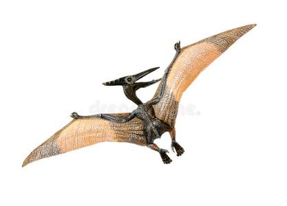 前方一小龙一小的红色的和黄色的翼龙玩具前面和背有样子的向照片