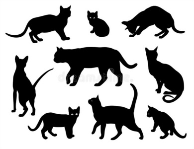 猫矢量轮廓放置隔离的白色的背景,catalogues商品目录采用差异照片