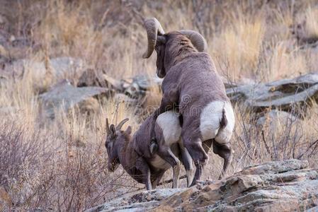 color一do多岩石的mount一in英语字母表的第2个字母照片