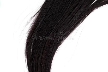 弯曲的黑的长的头发隔离的向白色的背景照片