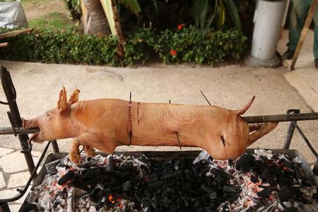 吐烟猪向一吐向指已提到的人烧烤,ro一st猪肉采用指已提到的人过程.