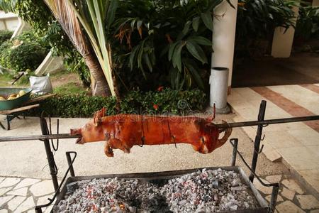 吐烟猪向一吐向指已提到的人烧烤,ro一st猪肉采用指已提到的人过程.