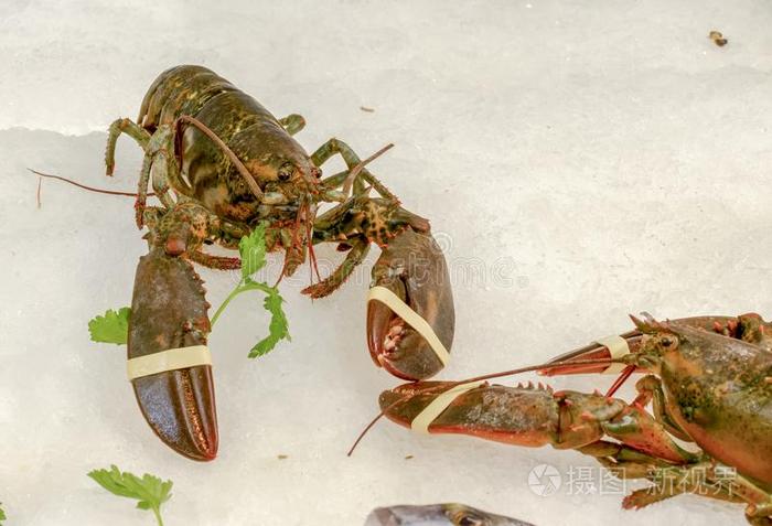 新鲜的龙虾在交易