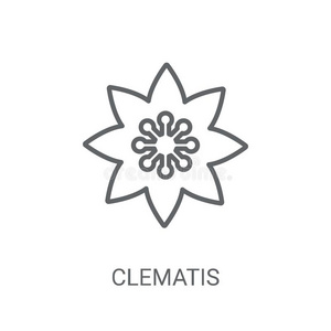 白色的铁线莲图片