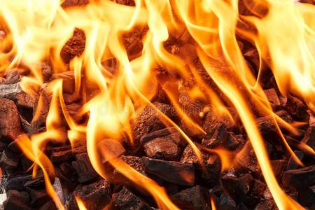 碳火烧烤图片-碳火烧烤素材-碳火烧烤插画-摄图新视界