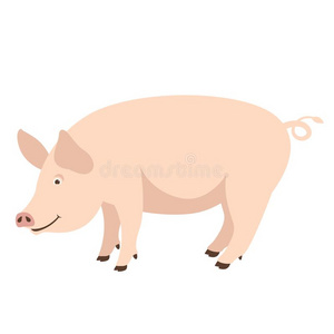 漫画猪,矢量说明,平的方式,侧面照片