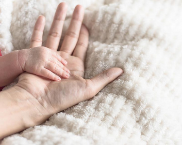 极小的婴儿手采用她mot她手掌为爱和保护康塞普照片