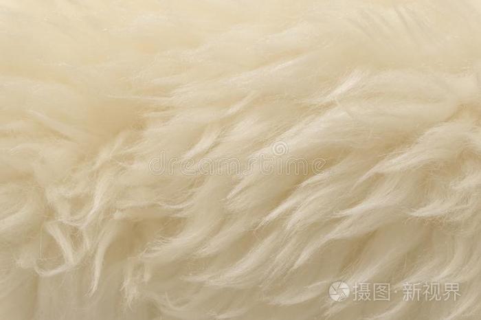 白色的动物羊毛质地背景.米黄色色彩自然的羊毛.英语字母表的第3个字母