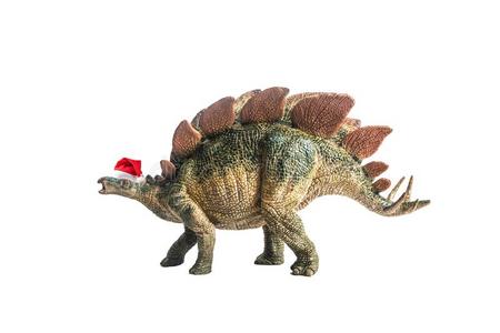 恐龙,剑龙向白色的背景照片