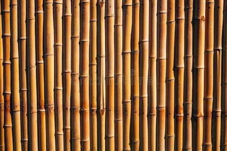 竹子栅栏干的干燥的自然的竹子栅栏镶板或墙照片