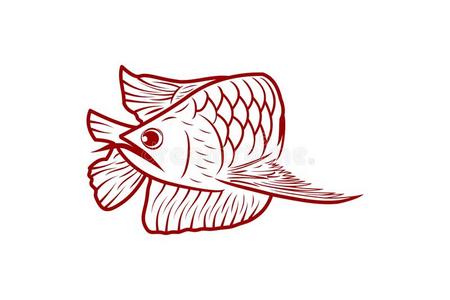 单线条动物红色的金龙鱼鱼,单声道的线条标识阴谋灵感隔离的向照片