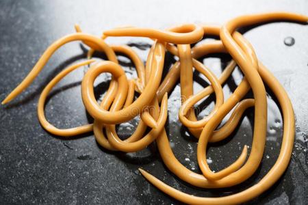 蛔虫病是(be的三单形式一d是(be的三单形式e一sec一used在旁边指已