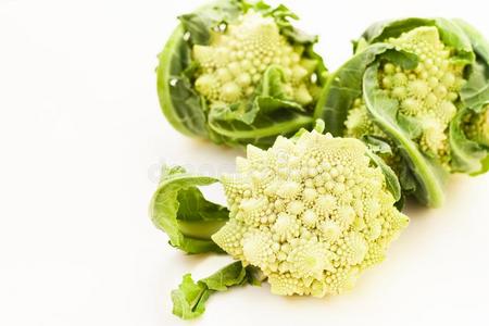 罗马花椰菜图片 罗马花椰菜素材 罗马花椰菜插画 摄图新视界