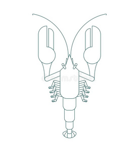 鳌虾外形图手绘图片