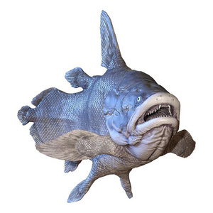 腔棘鱼鱼白色图片 腔棘鱼鱼白色素材 腔棘鱼鱼白色插画 摄图新视界