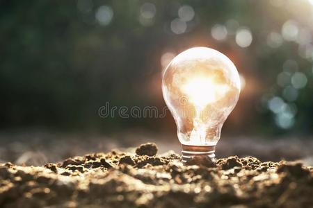 灯泡向泥土和阳光.c向cept节约能量太阳的鲍绰号照片