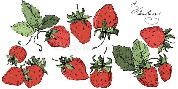 在叶子上的草莓图片