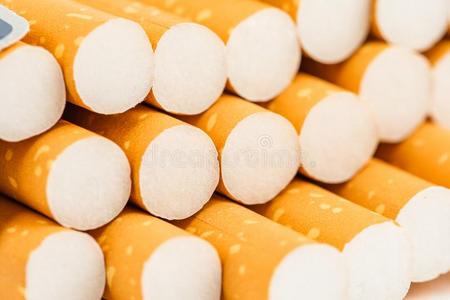 smok采用gtob一cc摄影图