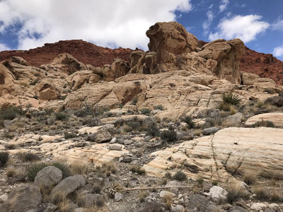 贫瘠的岩石图片