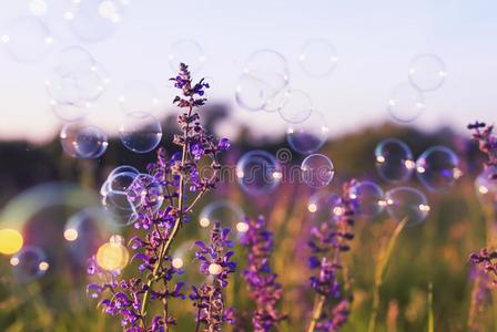 微妙的表面图片