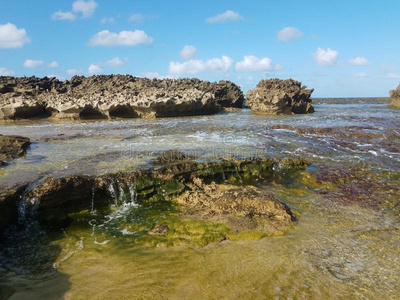 费迪南德和伊莎贝拉多岩石的岸在海滩和潮汐池采用伊莎贝拉,港口,山口