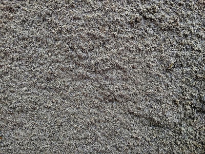 英语字母表的第20个字母地下土层隔离在白色上的草和土壤层真正的草和