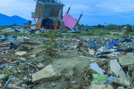 阪神大地震 液化图片