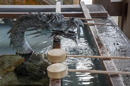 龙和池塘和水照片